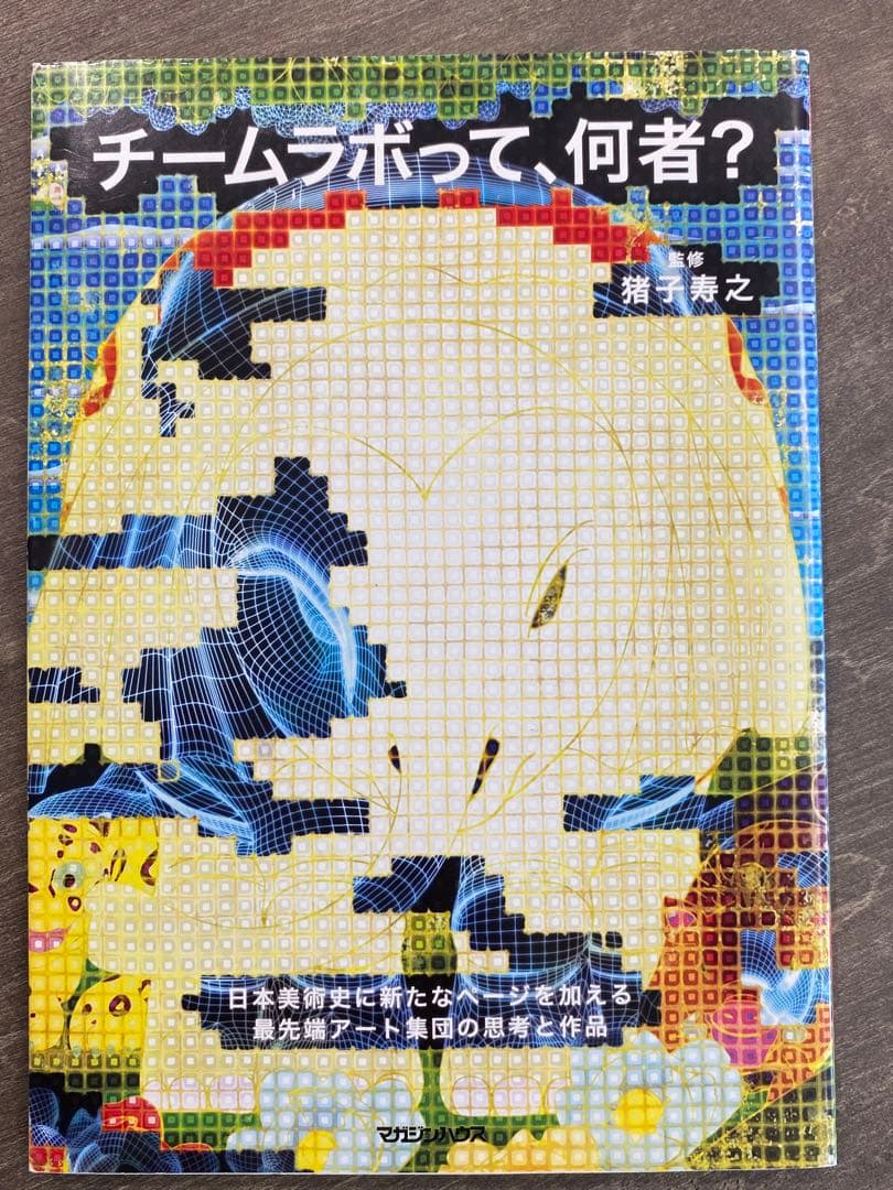 チームラボって、何者？（マガジンハウス刊）