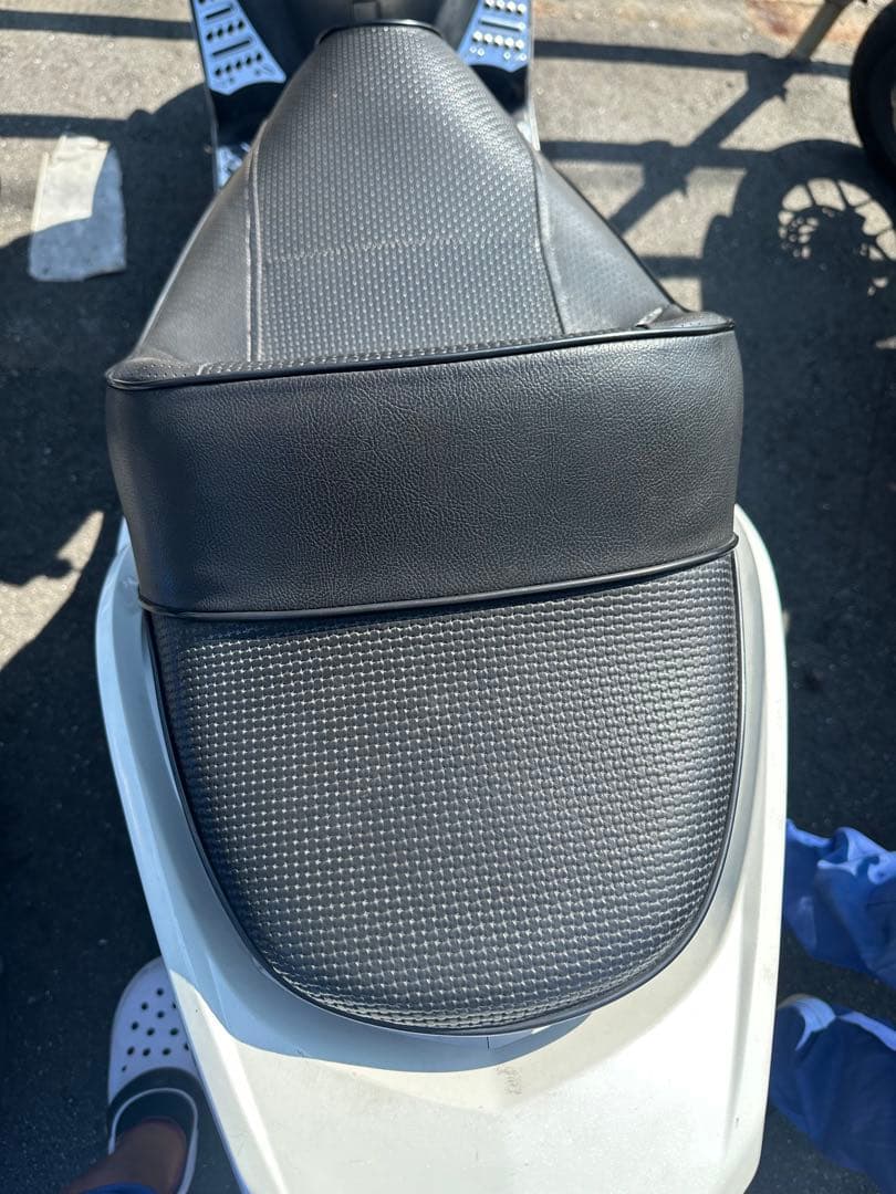 ‼️最終値下げ‼️シグナスx2型DCRシート