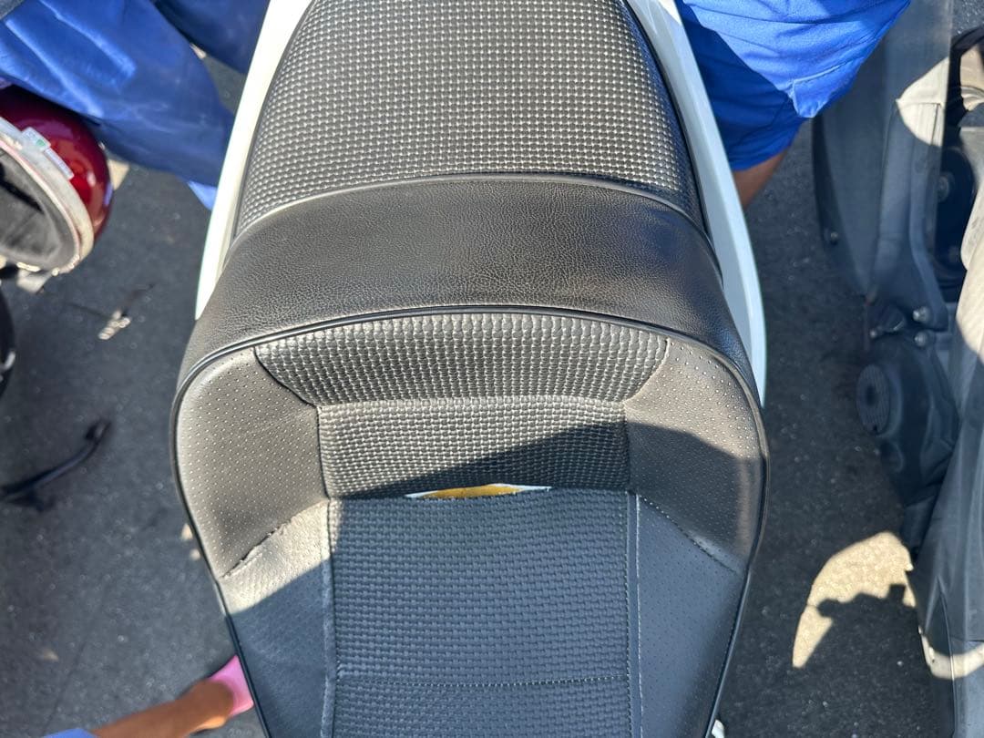 ‼️最終値下げ‼️シグナスx2型DCRシート