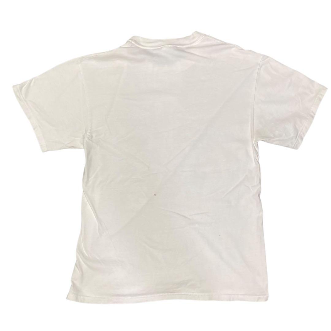 u*d様 90s アートt 虫 art ヴィンテージtシャツ Lサイズ　hane