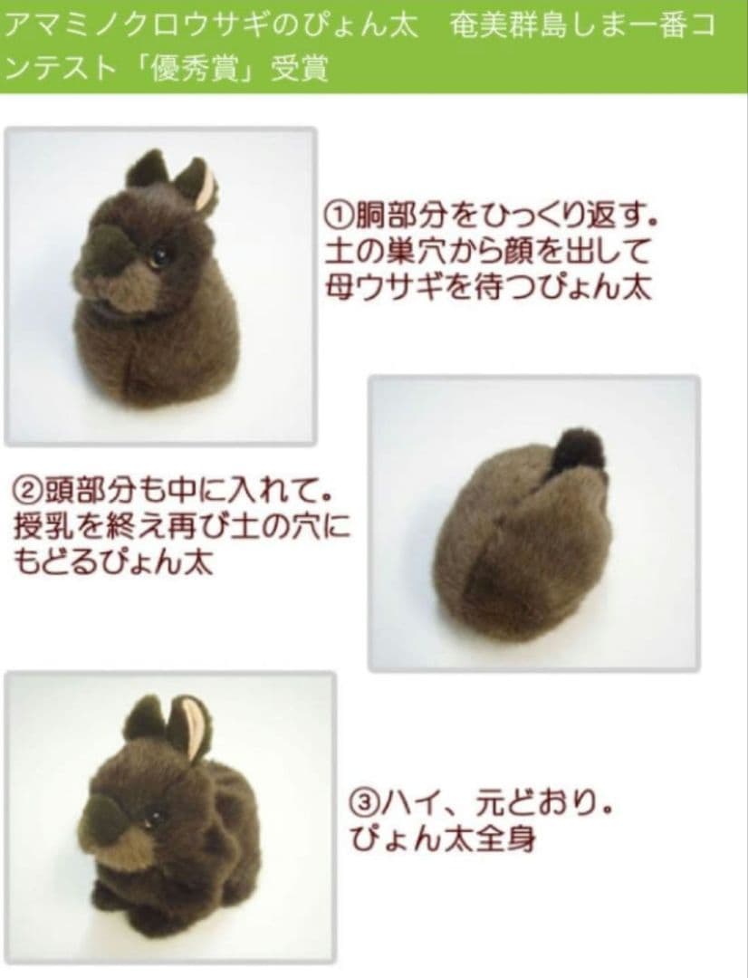 やまね工房　アマミノクロウサギ　ぴょん太　ぬいぐるみ　ウサギ