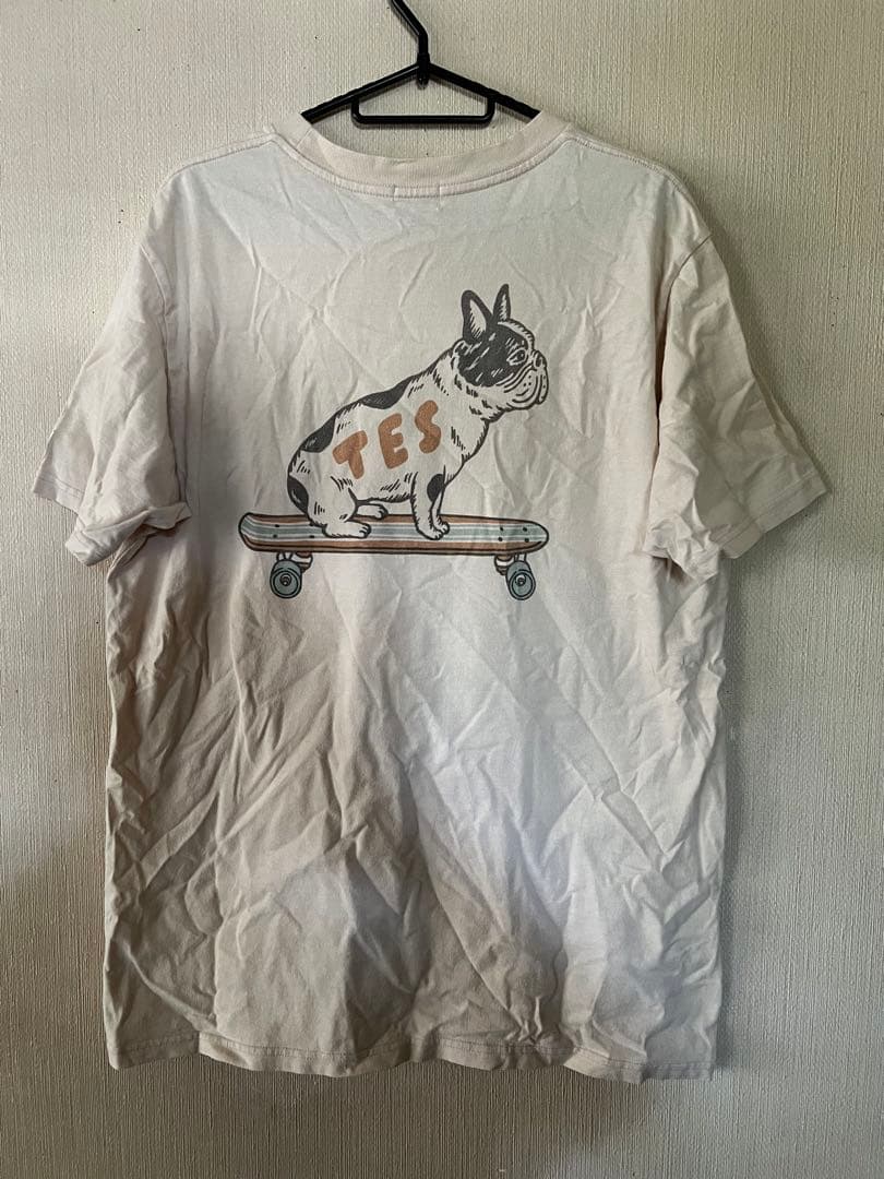 TES ザエンドレスサマー　6着セット