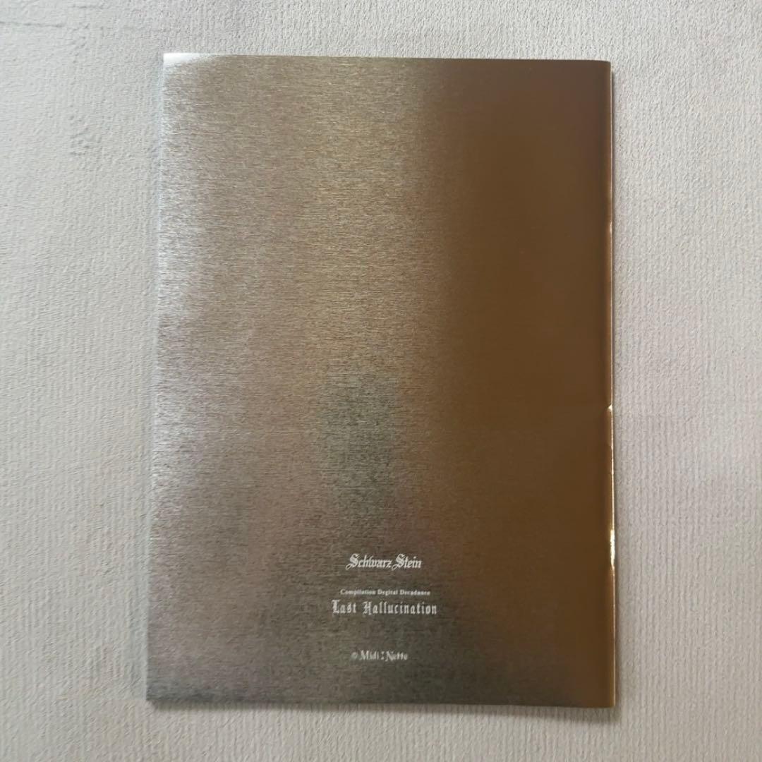 Schwarz Stain Last Hallucination パンフレット