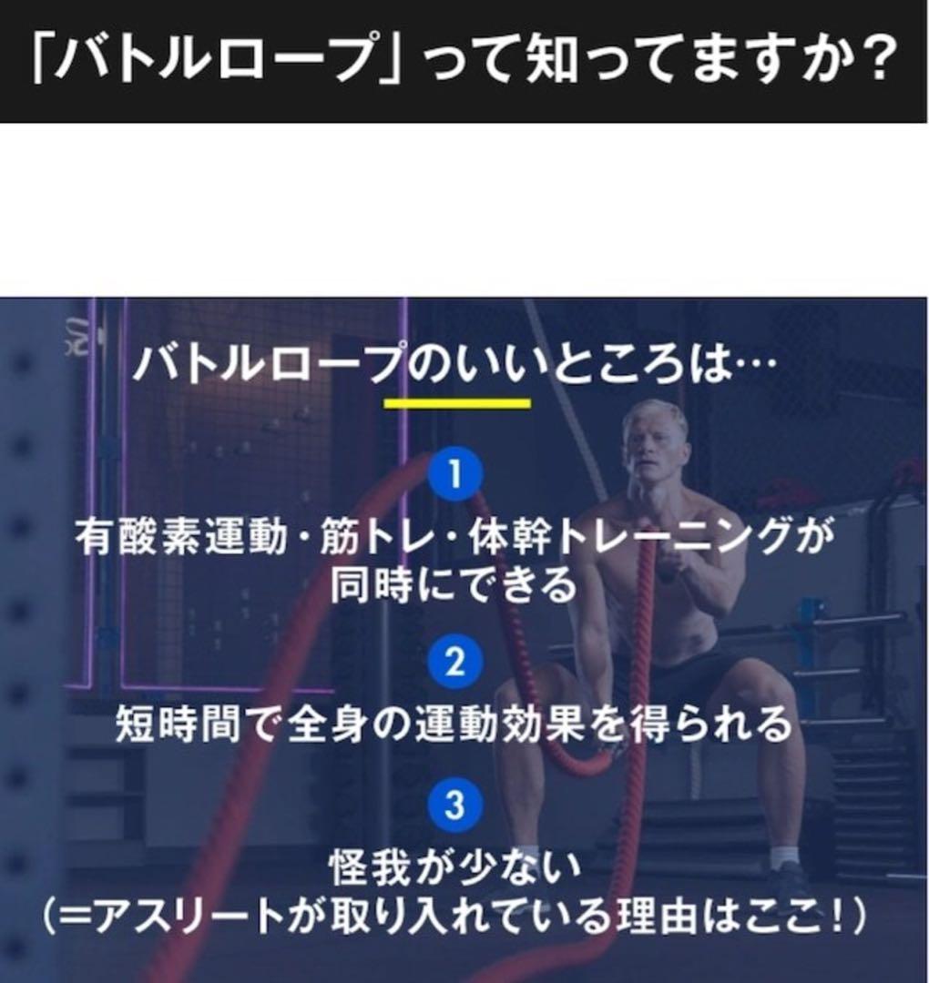 新品 訳あり バトルロープ 短時間の全身トレーニング Z-Rope イエロー