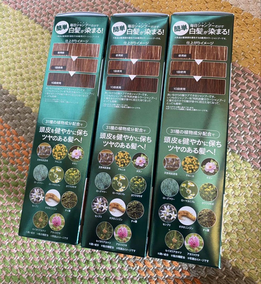 利尻昆布 利尻炭酸 カラーシャンプー 白髪染め ダークブラウン 3本セット