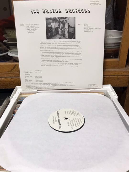 洋楽 THE BRAZDA BROTHERS LP