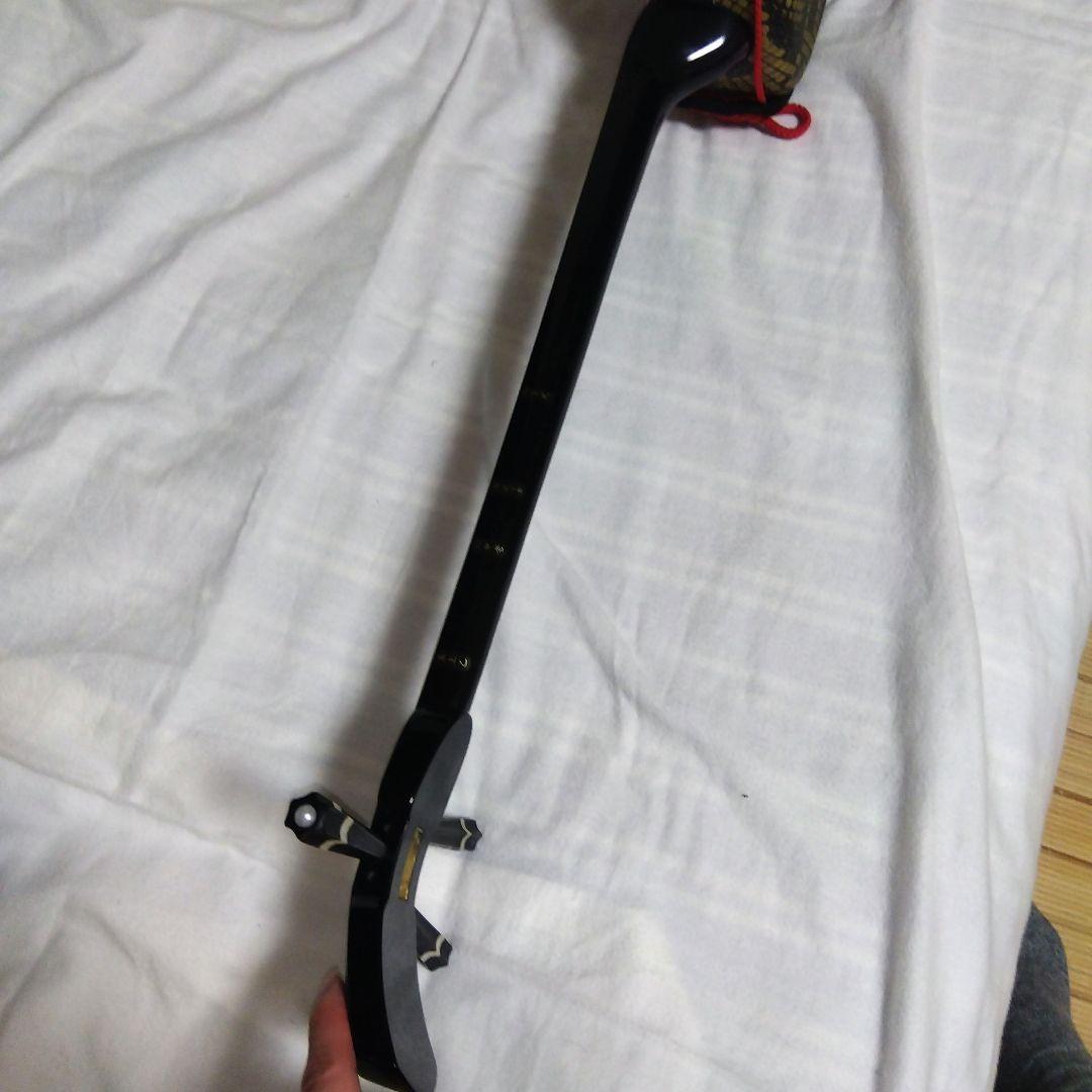 （美品）沖縄三味線初心者フルセット三味線本体 蛇柄ケース．ハンドブックDVD付き