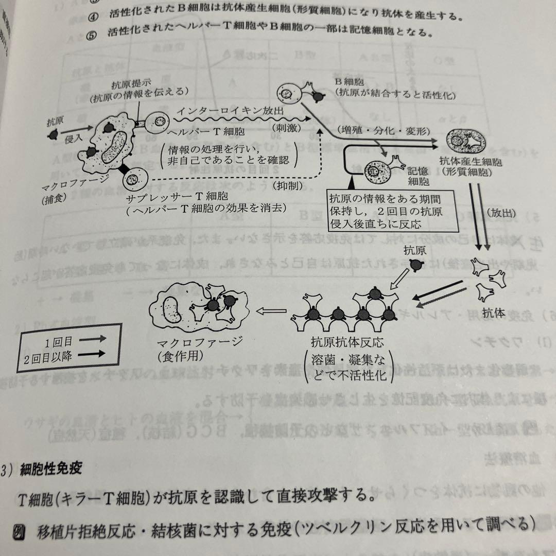 スタンダード物理I・II・生命科学[資料集]