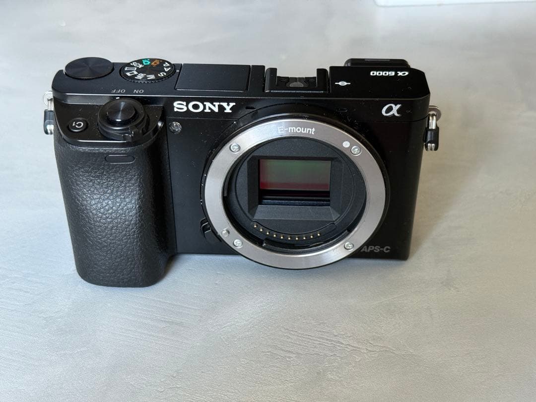 SONY α6000 ボディ（付属品あり）