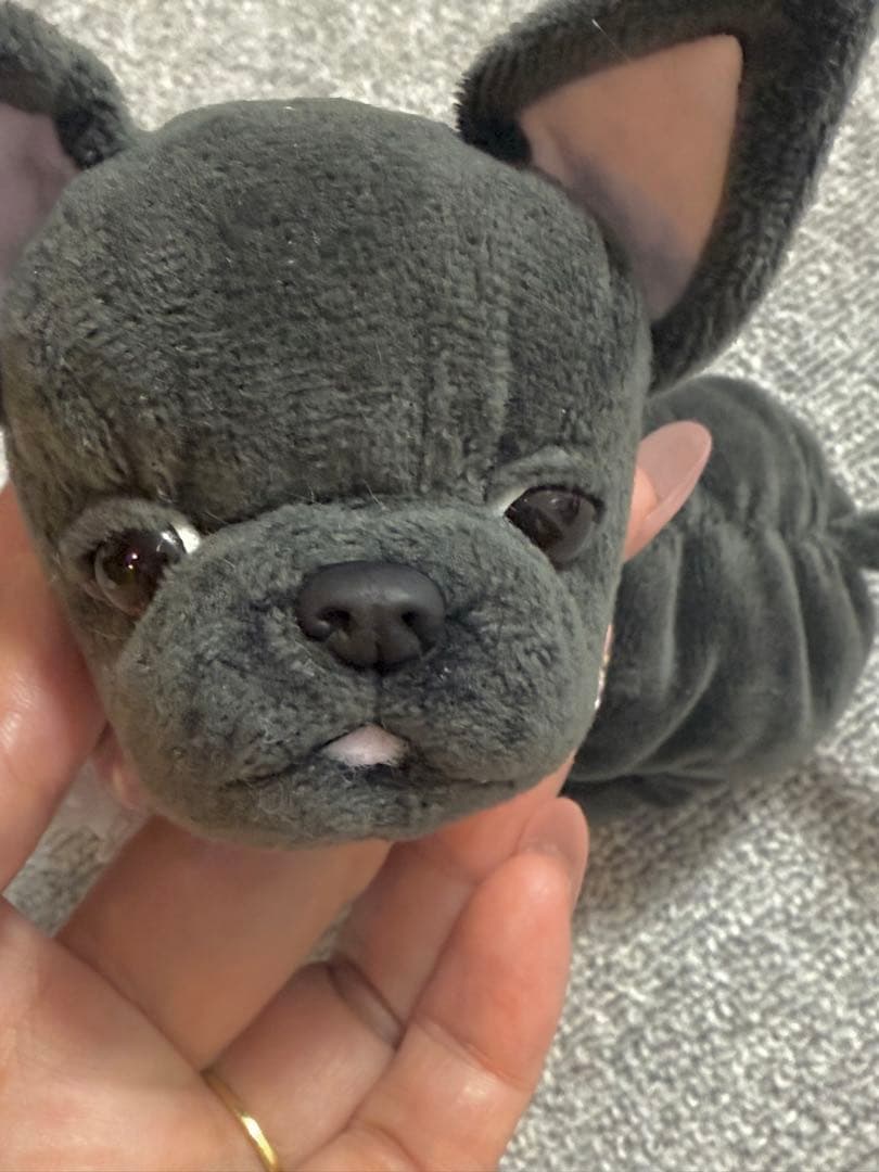 専用 ★ハンドメイド★ くたくた フレンチブルドッグ ぬいぐるみ 中サイズ
