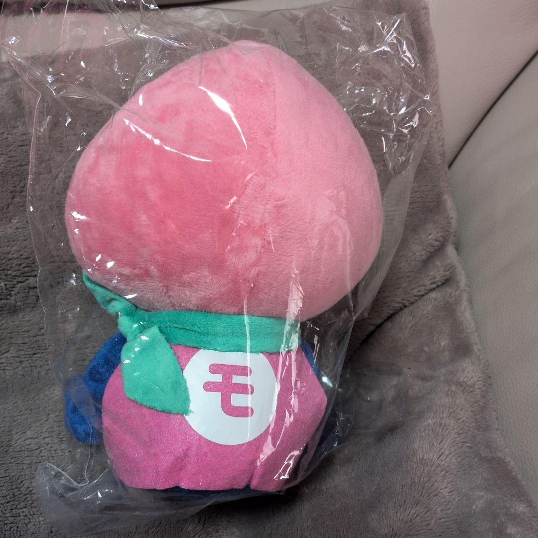新品 激レア モモずきん 山梨 ぬいぐるみ JR東日本
