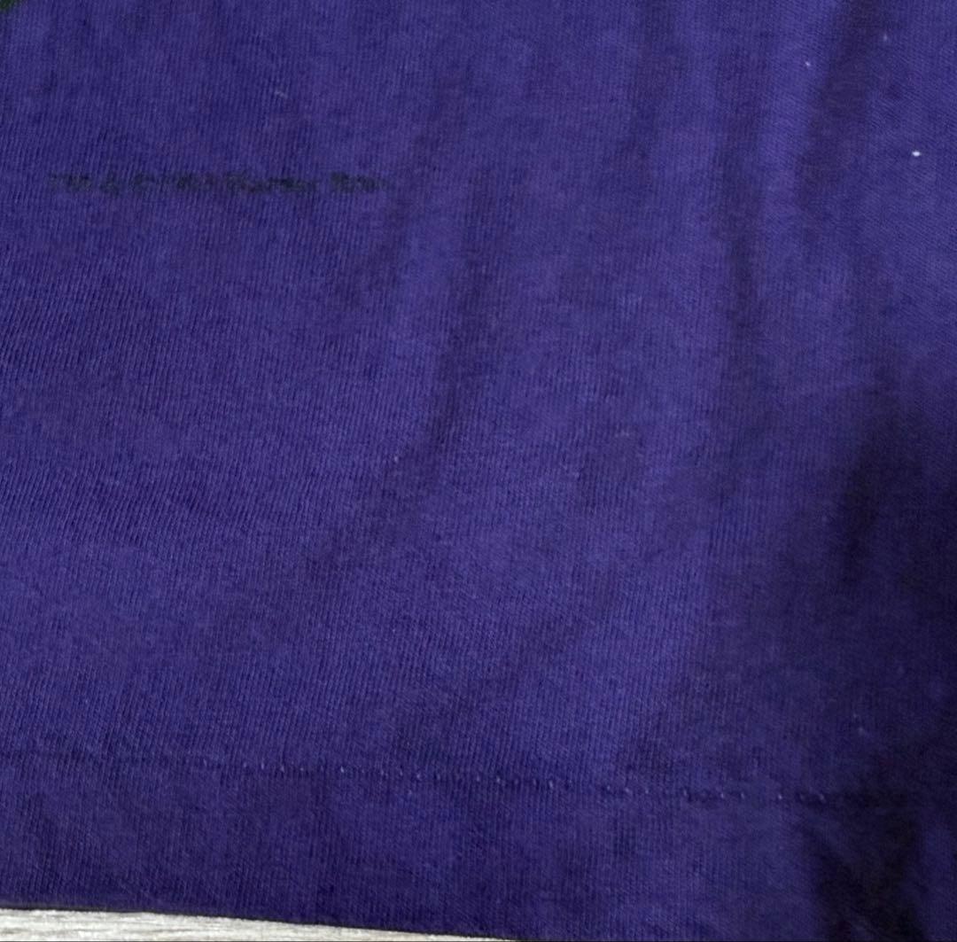 USA製 90s ルーニーテューンズ Tシャツ シルベスター トゥイーティー 紫