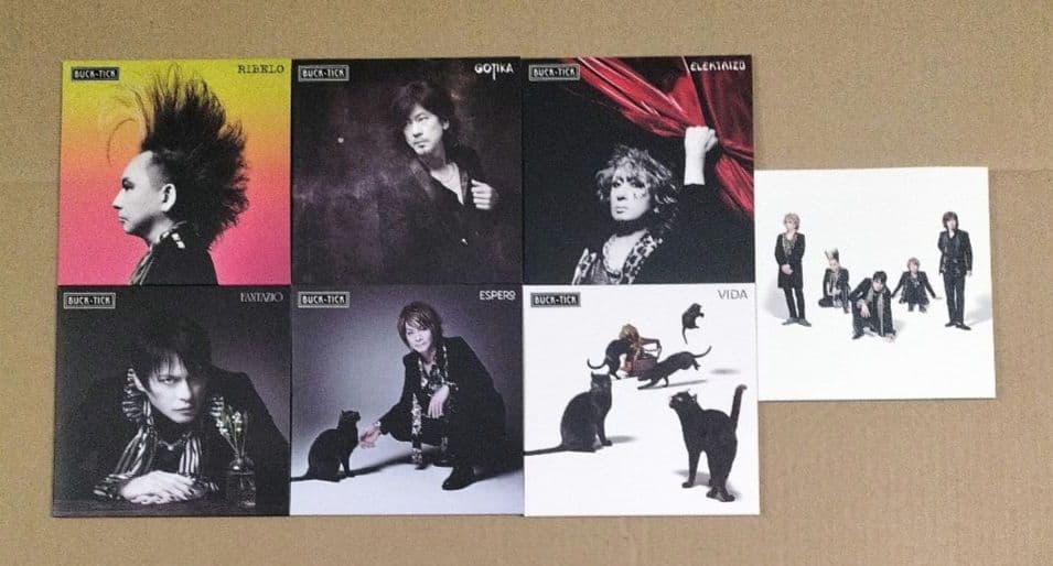 CATALOGUE THE BEST 35th anniv. 完全生産限定 帯付
