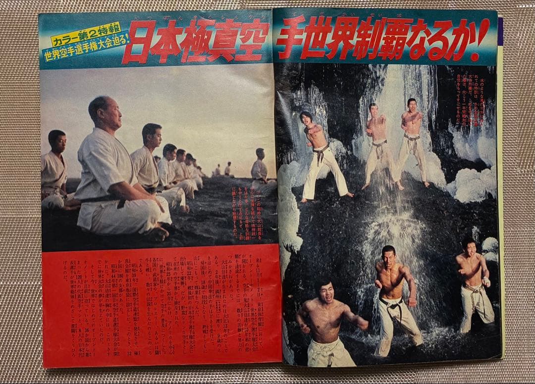 週刊少年マガジン昭和50年46号 第1回世界空手選手権大会記念特集