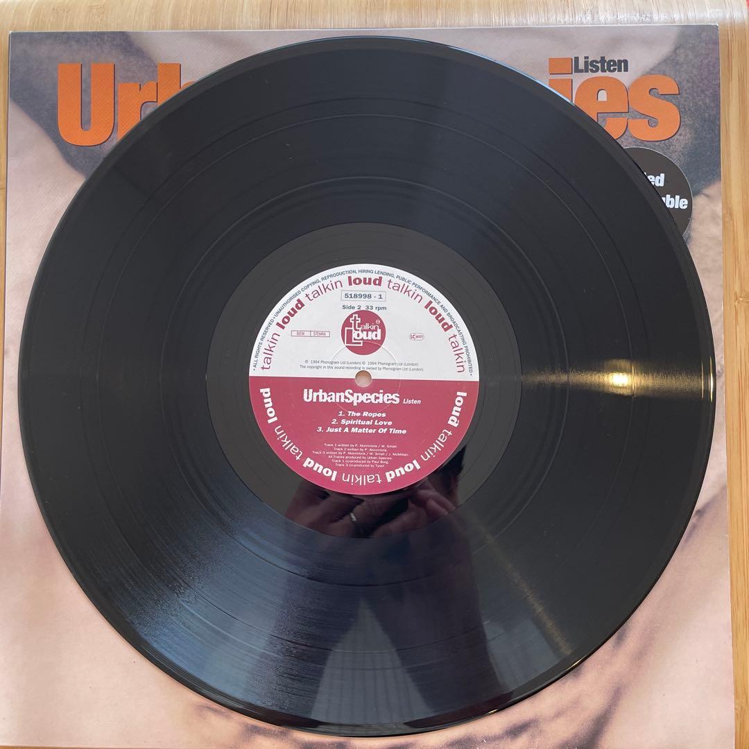 Talkin'Loudアルバム3枚セット（レコード）