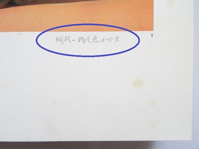 洋書◆イギリスの陶磁器写真集 本 英国 工芸品