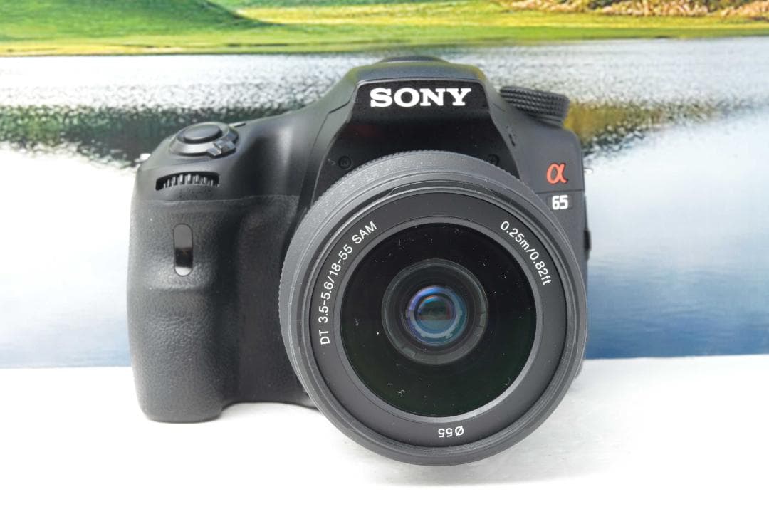 爆速連写！SONY α65ダブルレンズームセット★手振れ補正内臓★本格一眼レフ
