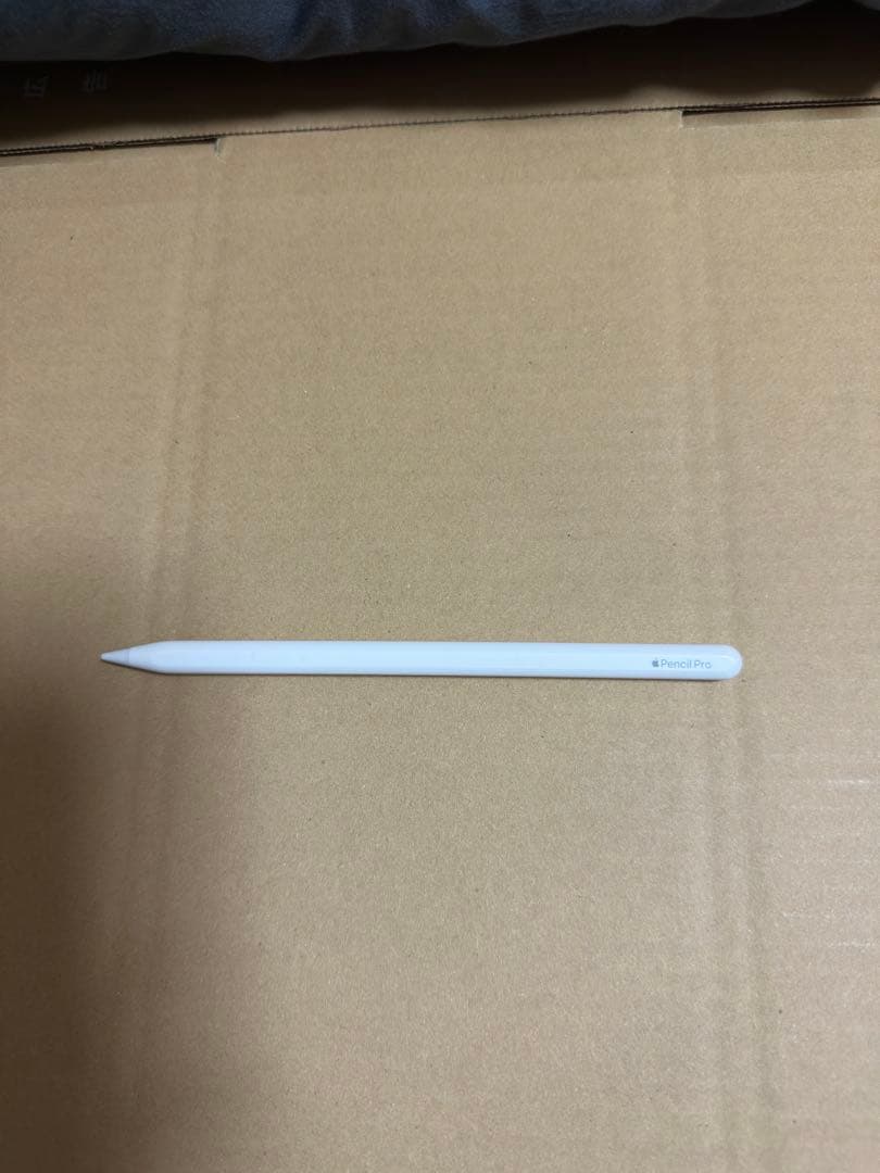 iPad Pro 11インチ (M4)1TB ApplePencil Pro付き