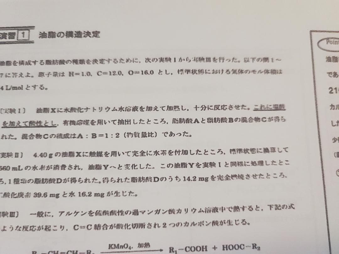 駿台　天然有機物と高分子化合物　プリントフルセット　山下先生　河合塾　鉄緑会