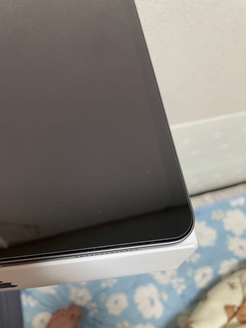iPad pro 11インチ 第二世代 256GB 美品 本体