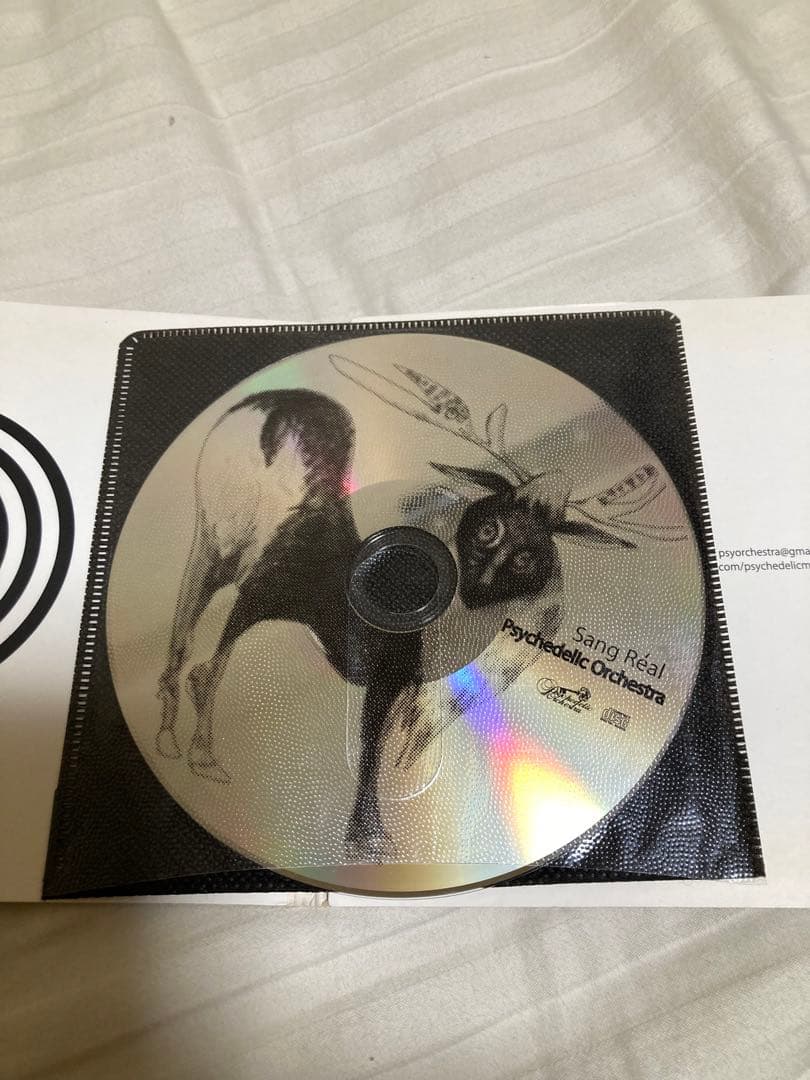 邦楽 psychedelic orchestra sang real