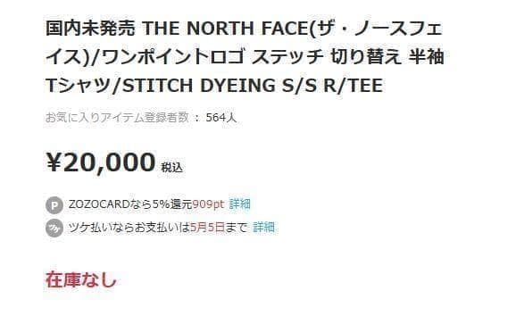 【韓国限定】THE NORTH FACE ロゴ ステッチ Tシャツ グレー XL