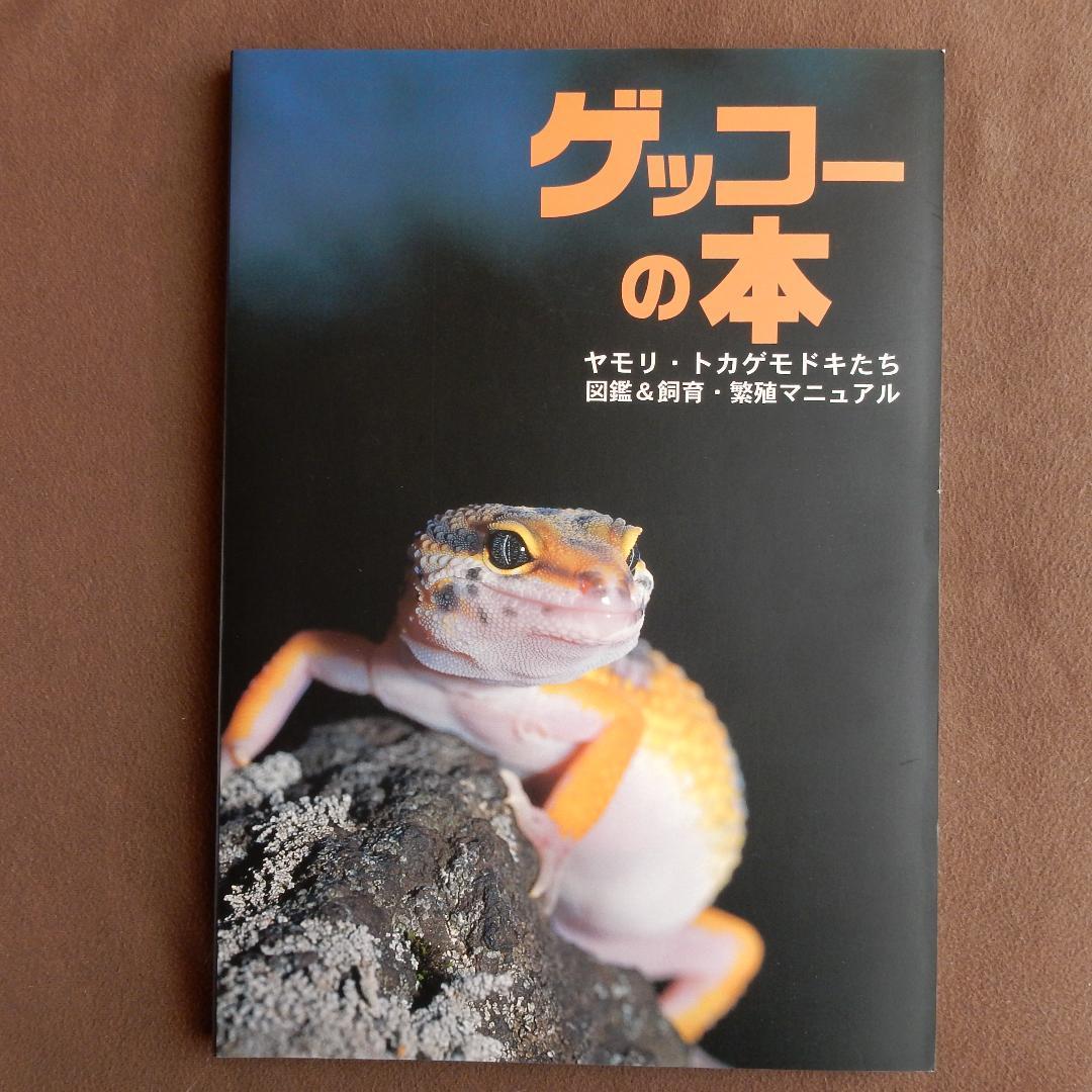 ゲッコーの本