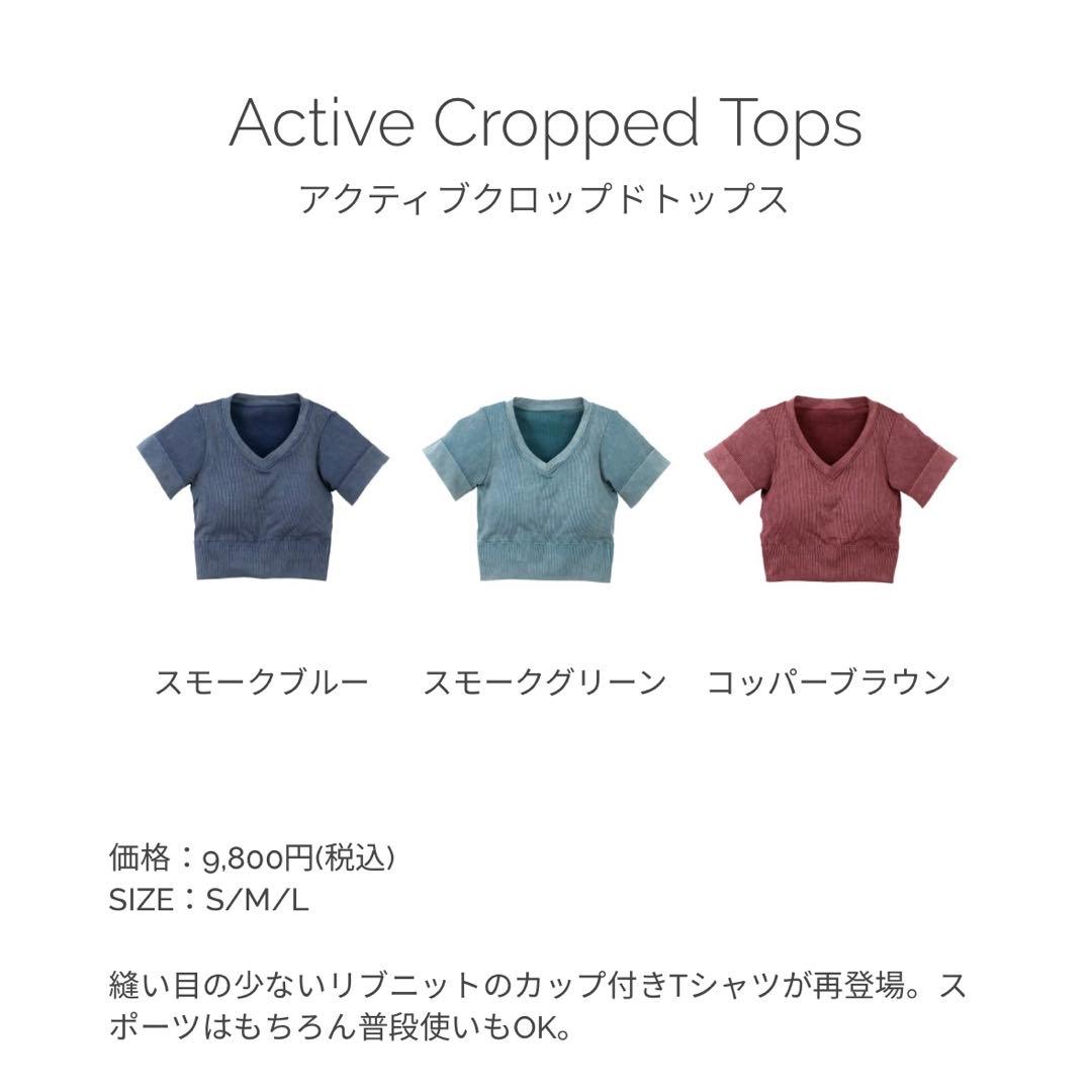 最終値下げ★LAVA SUKALA アクティブクロップドトップス　美品