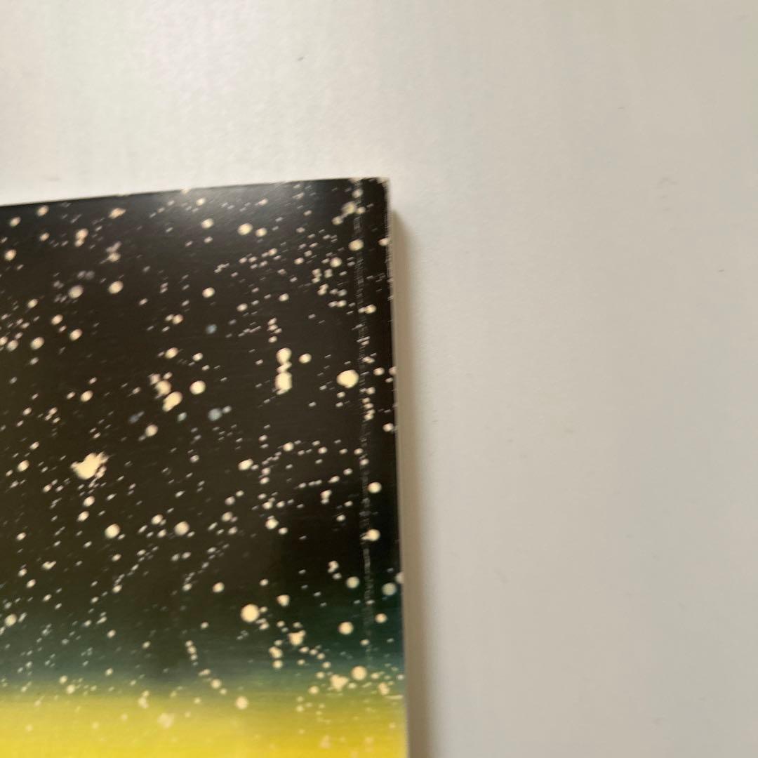 2009年発行　松山智一作品集「TOMOKAZU MATSUYAMA」