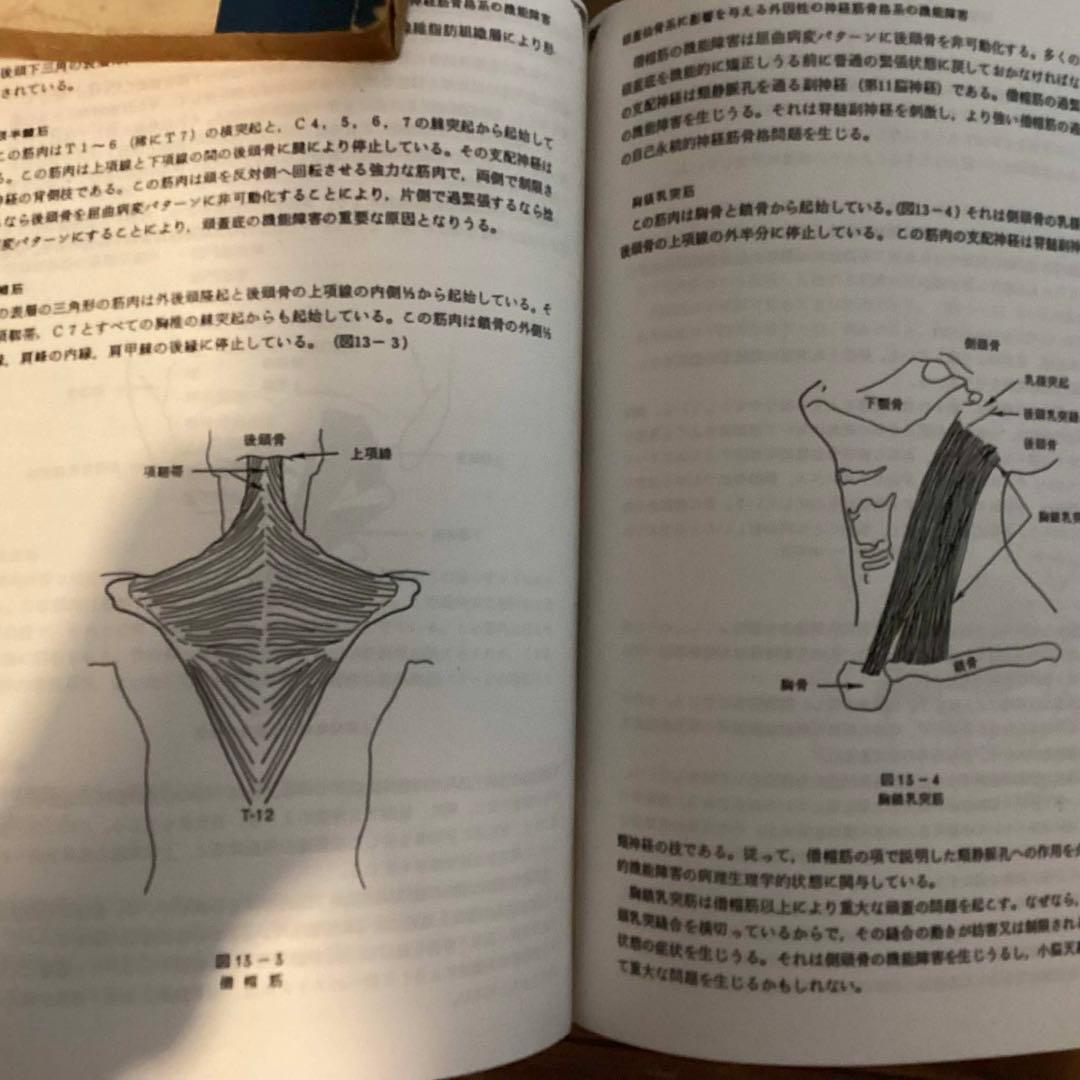 頭蓋仙骨治療 ジョン・E.アプレジャー D.O., F.A.A.O.目崎勝一 訳