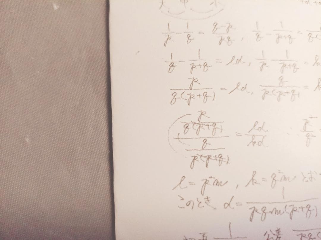 大数ゼミ　解法のエッセンス整式編　板書集　安田先生　駿台　河合塾　鉄緑会　数学