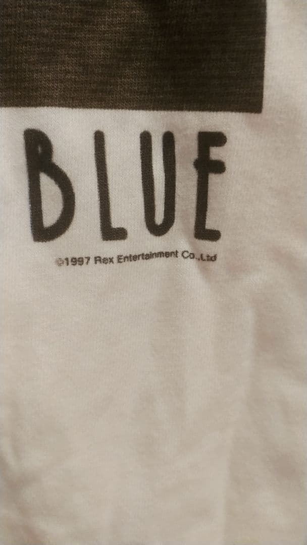 90年代 パーフェクトブルー Tシャツ Perfect Blue