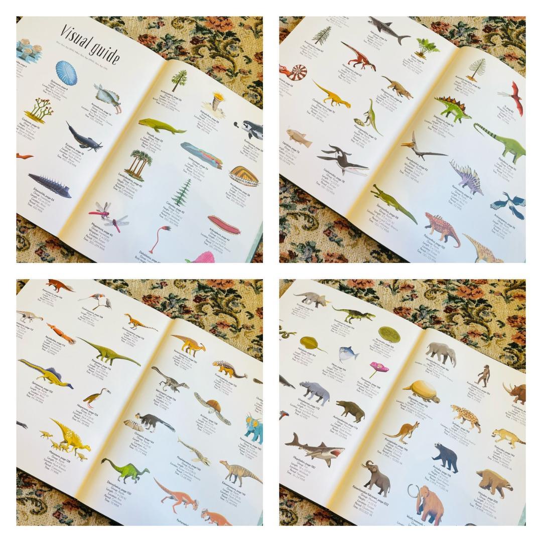 新品洋書　教養教育　博物館　辞書　辞典　恐竜　ダイナソー　Dinosaur