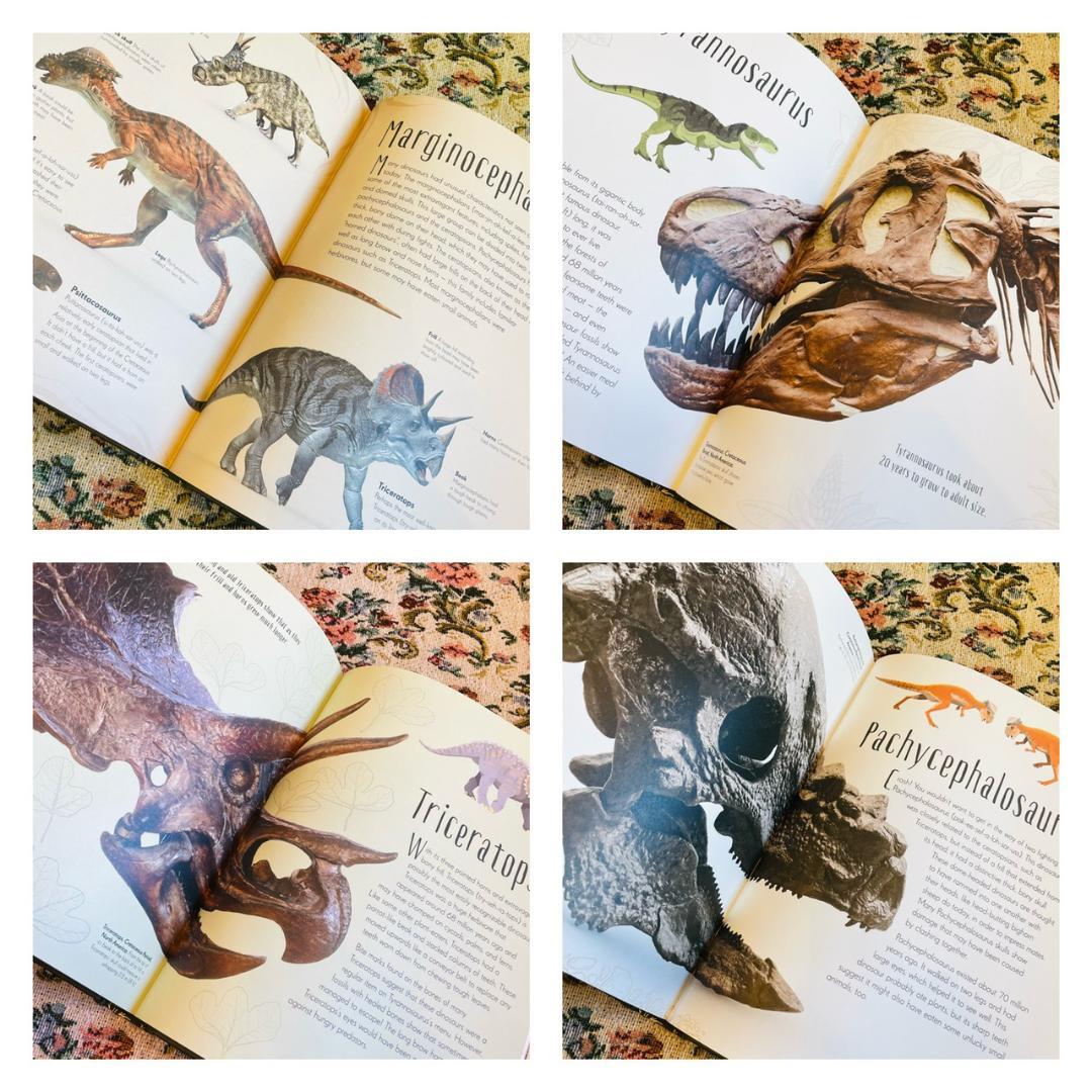 新品洋書　教養教育　博物館　辞書　辞典　恐竜　ダイナソー　Dinosaur