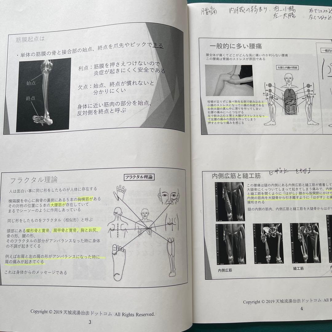 天城流医学大全集　症状別腰痛編