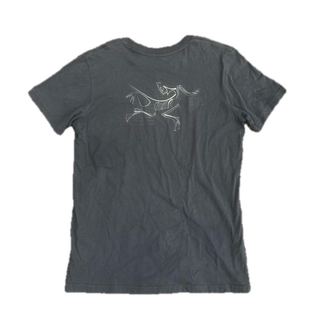 arc'teryx Tシャツ
