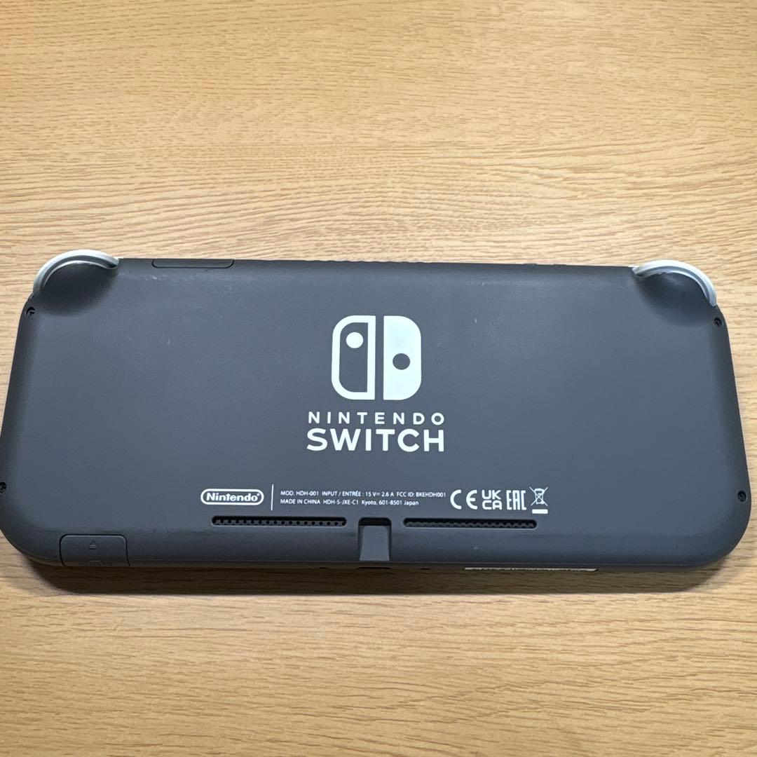 任天堂Switch light グレー　持ち運びケース付き