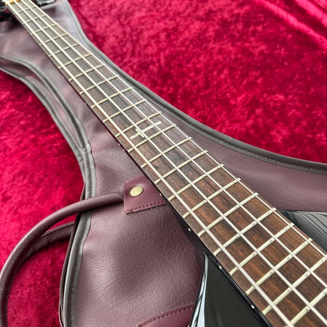 メンテ済 EDWARDS LUNA SEA Jモデル E-JV-95 PJ