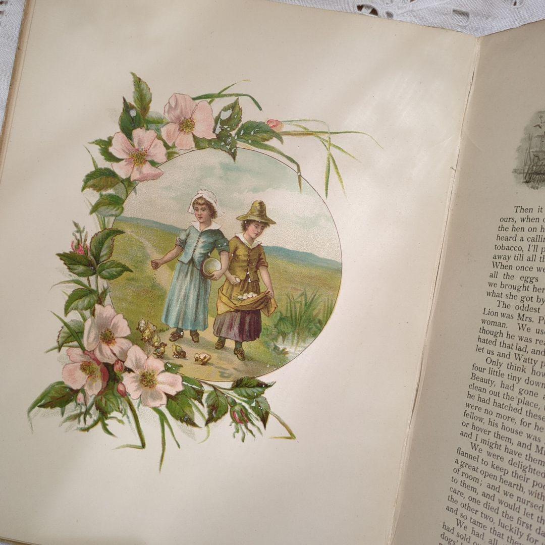 稀少1888アンティーク絵本 児童書 洋書古書 ヴィクトリアン 初版本 イギリス