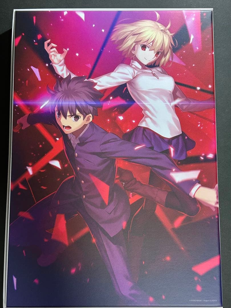 Nintendo Switch MELTY BLOOD TYPE LUMINA