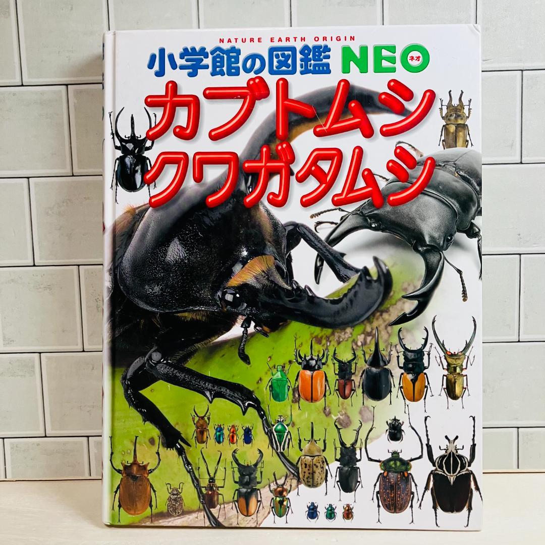 【定番の図鑑】小学館の図鑑NEO10冊セット 星と星座 昆虫 地球 他