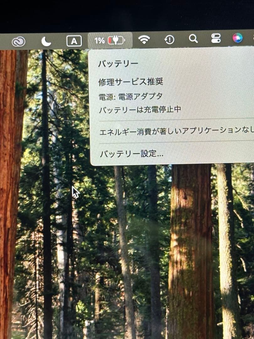 MacBook Air 13インチ ゴールド M1 8GBメモリ512GB