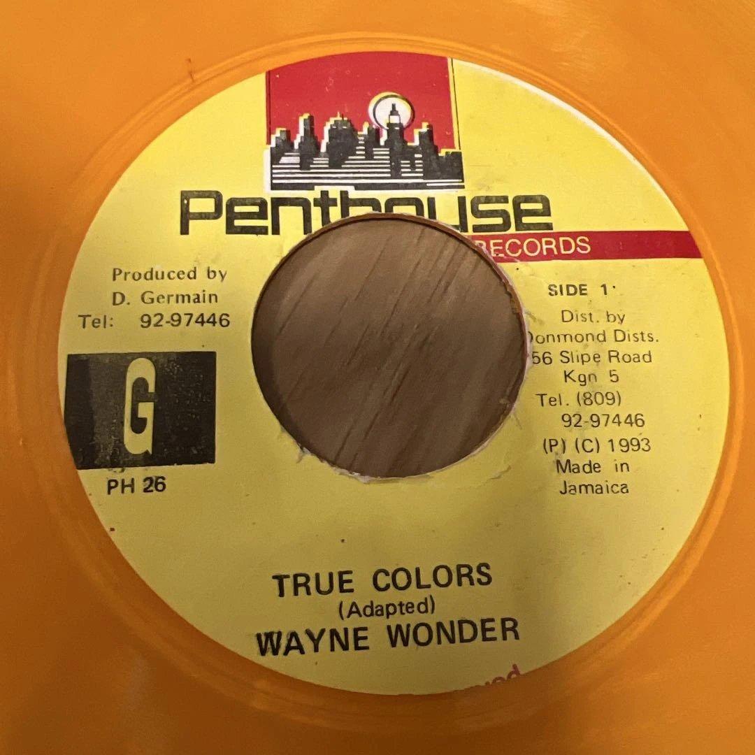 希少 ウェイン・ワンダー TRUE COLORS レコード