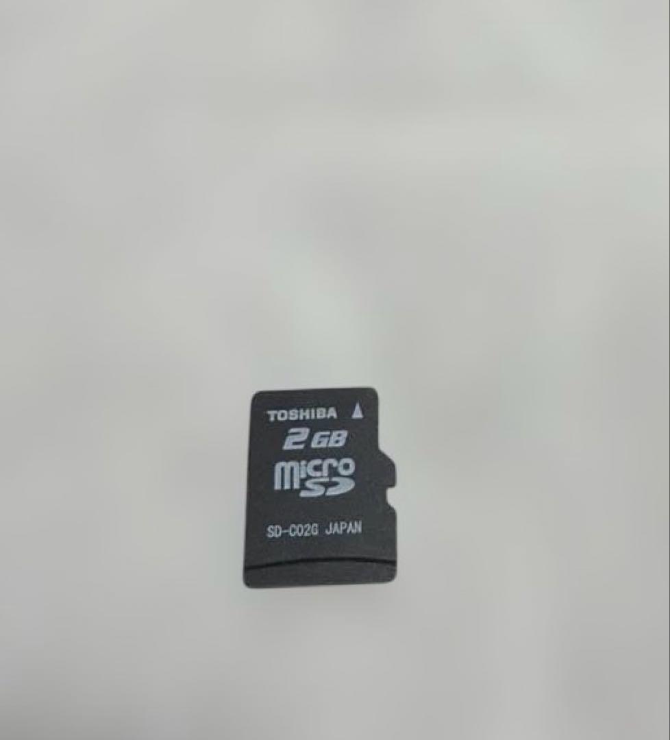 Nintendo Switch あつまれ どうぶつの森デザイン　microSD付