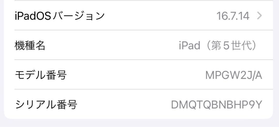 【美品】iPad 第5世代 128GB Wi-Fi ゴールド