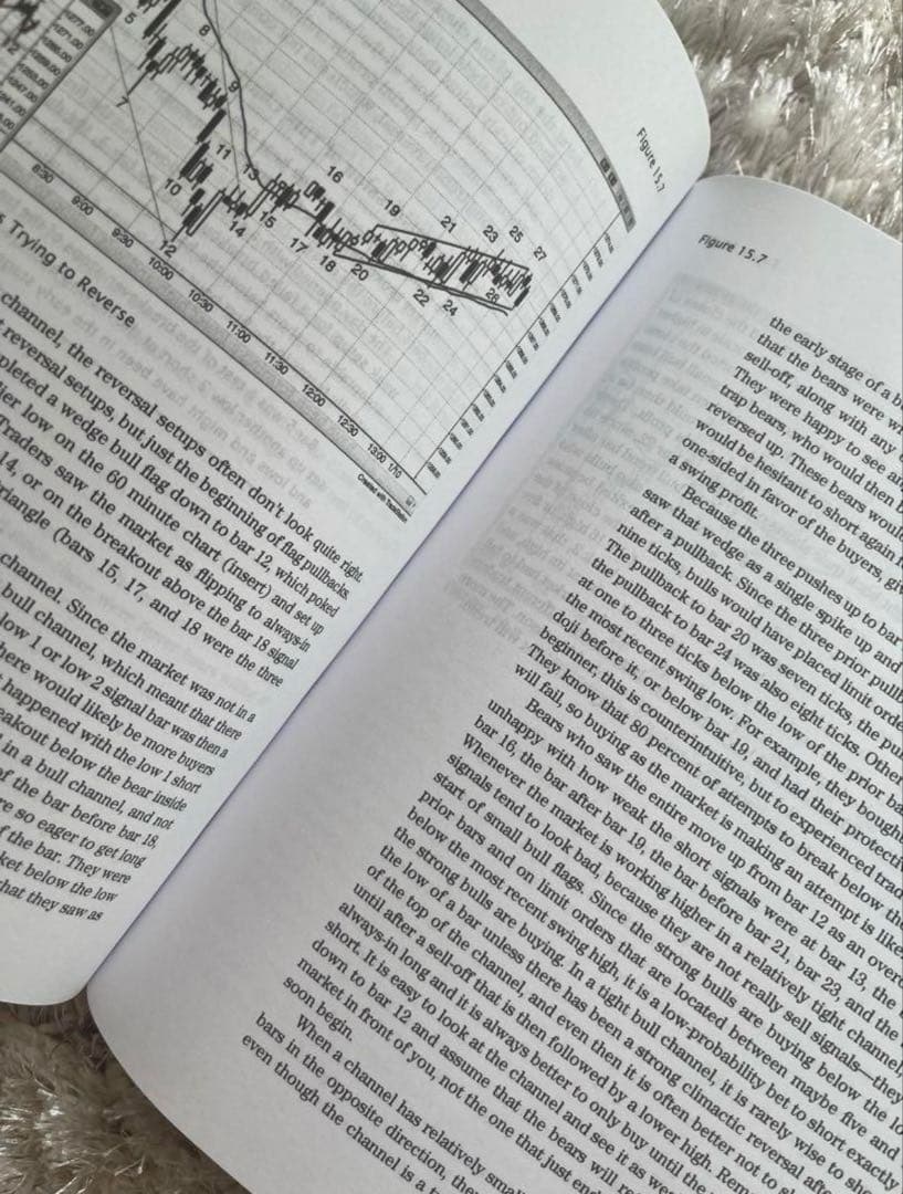 洋書 Al Brooks Trading Price Action Trends
