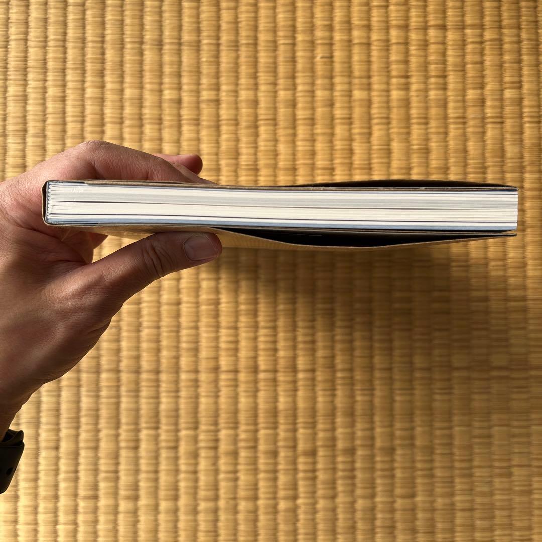 Sophie Calle『Picalso』アートブック／ソフィ・カル
