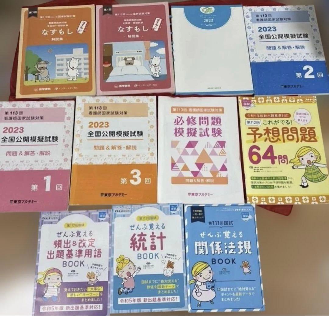 看護 実習セット 国試 アセスメント、関連図、プチナース 情報収集 他