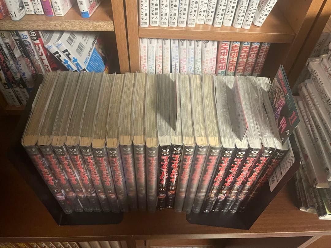 ジャンケットバンク　11巻以外全巻初版　帯付き多数