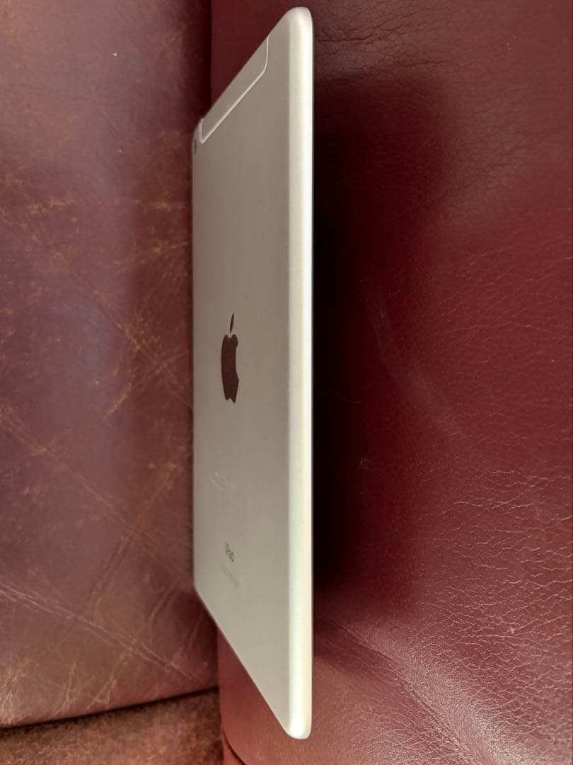 【セール】iPad mini 5 256GB SIMフリー　非純正ペン&カバー付